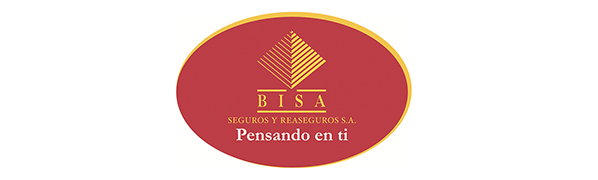 BisaSeguros